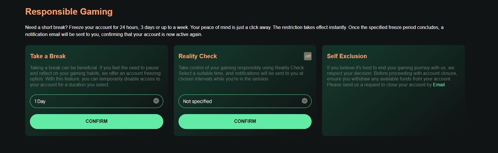Ritzo Responsible Gambling Tools