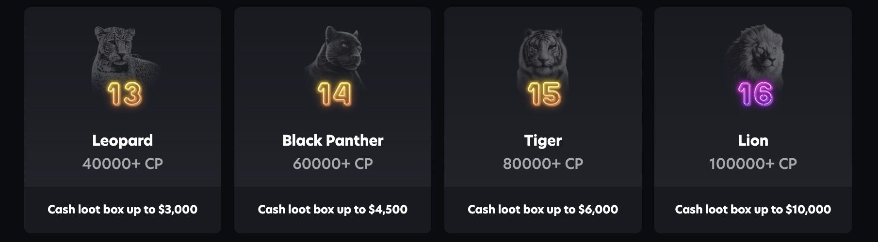 Neospin Casino - Loyalty Program