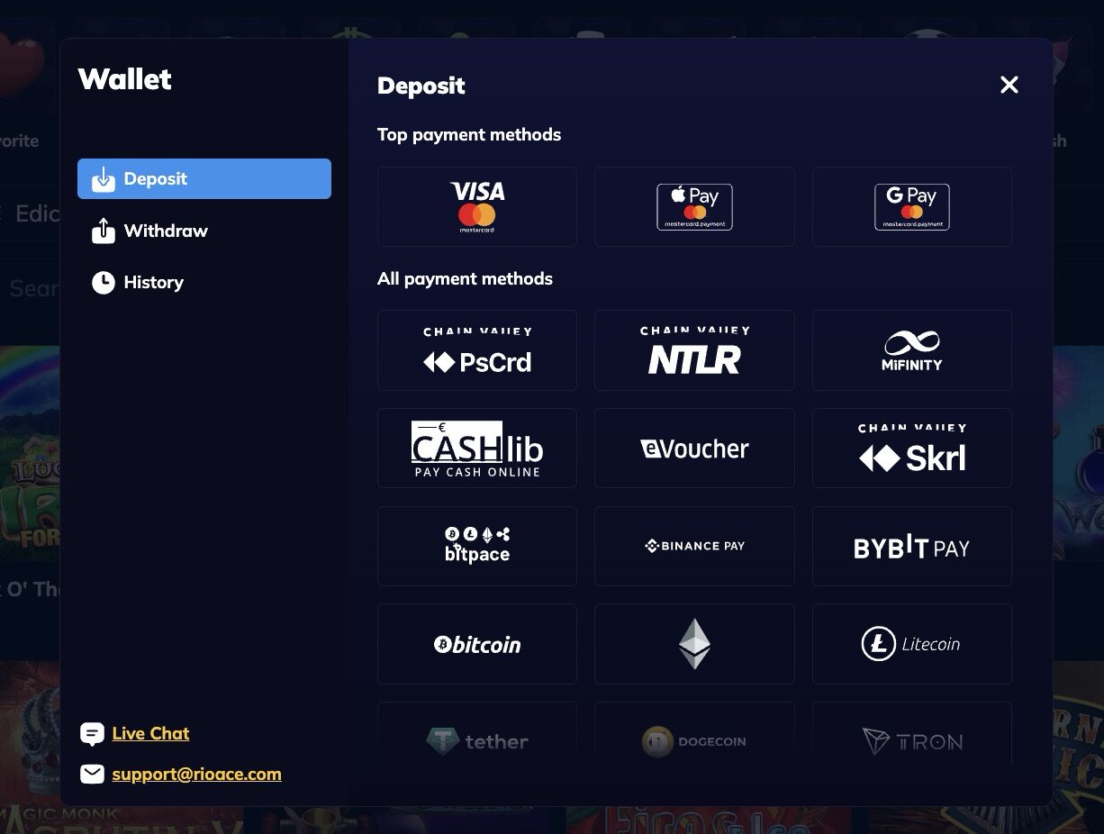 RioAce Casino Payment Methods