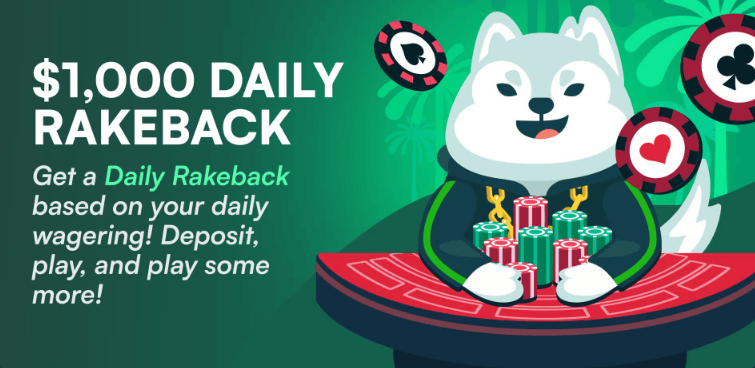 Wild.io Casino daily rakeback