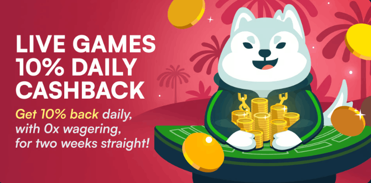 Wild.io Casino live cashback