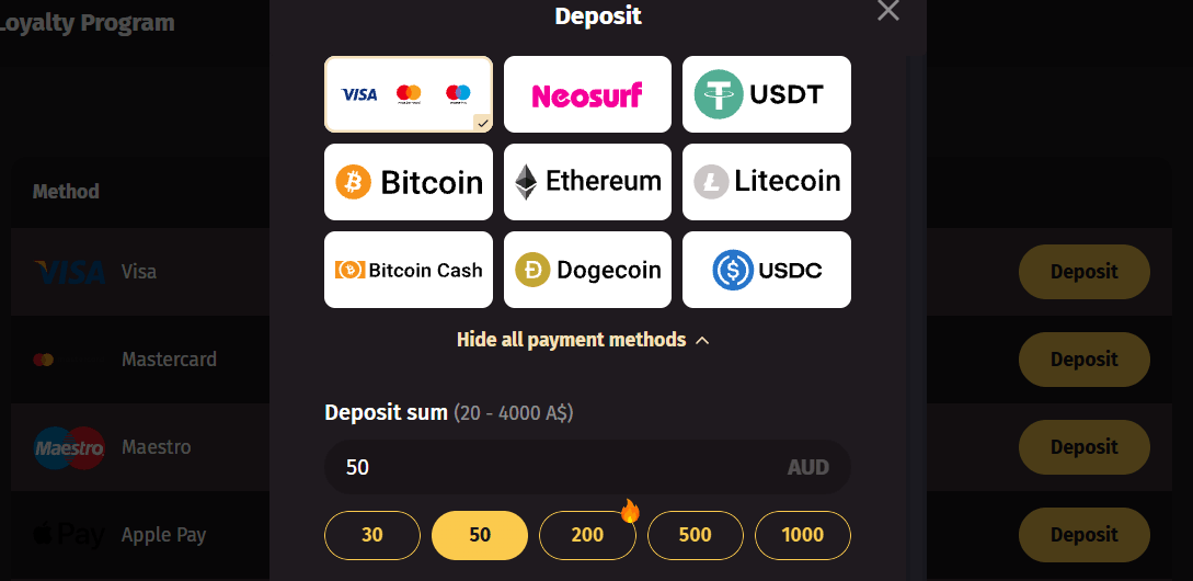 WantedWin Casino payment methods