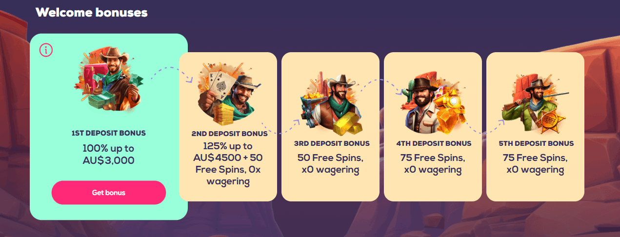 Wild Fortune Casino welcome bonuses