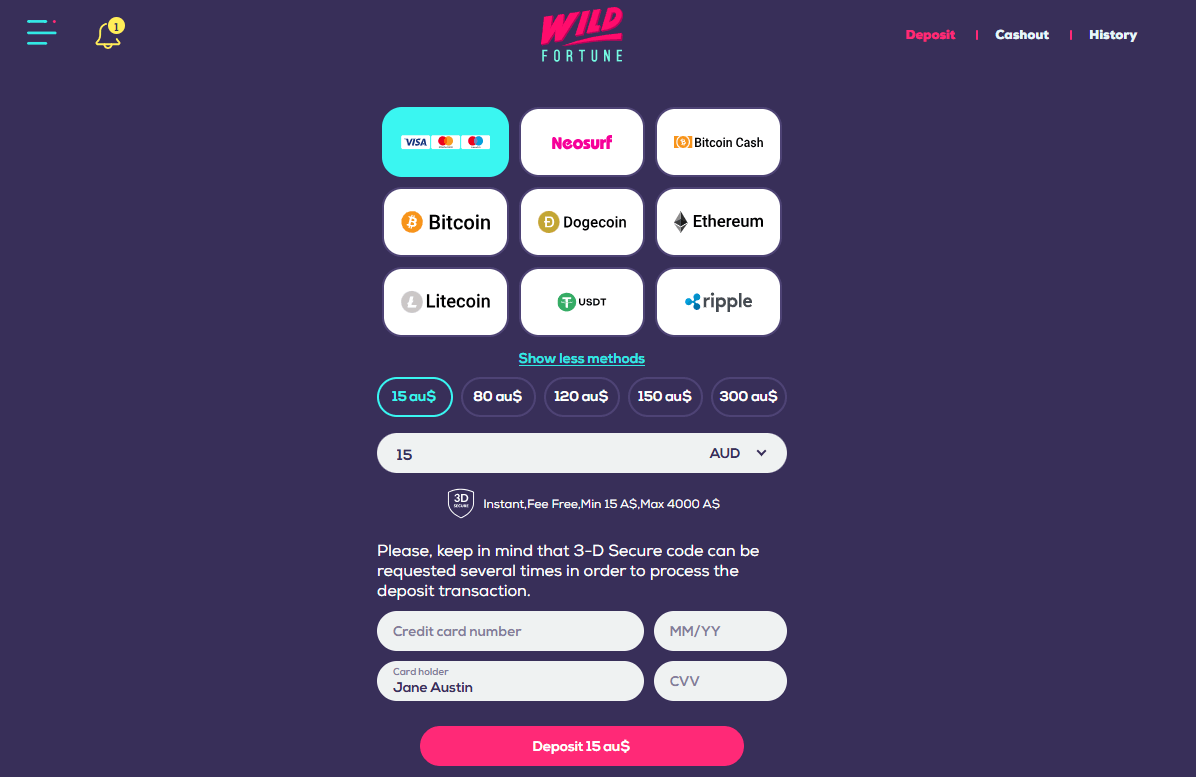 Wild Fortune casino payment methods