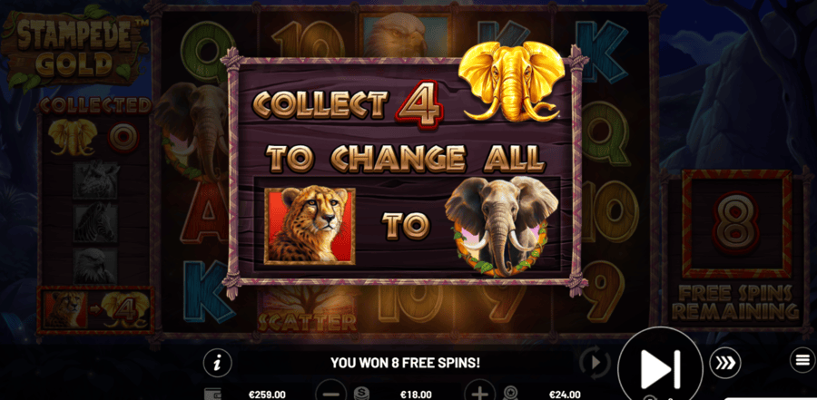 Stampede Gold